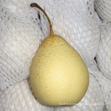 Delicious, Sweet, Juicy Fresh Ya Pear